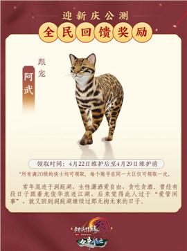 修为天龙八部私服